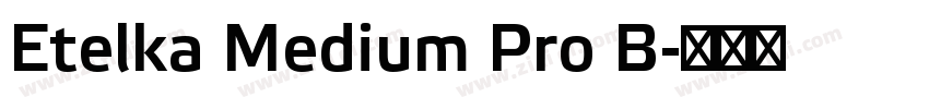 Etelka Medium Pro B字体转换 Etelka Medium Pro B字体转换